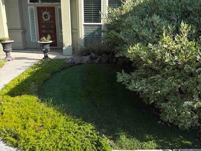 Lawn care service in Boise, 83713