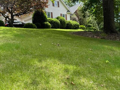 Lawn care service in Central, 29630