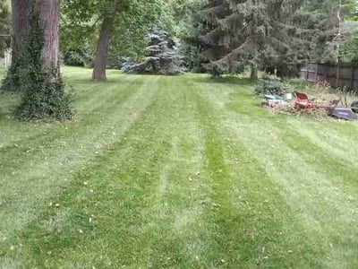 Lawn care service in Dayton, 45432