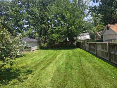 Lawn care service in University City, 63130
