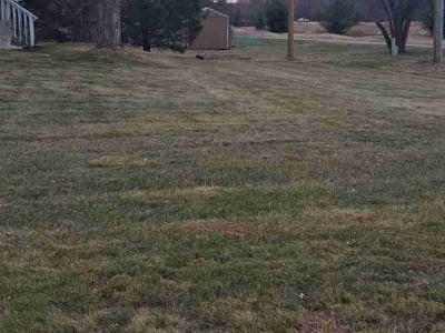 Lawn care service in Champlin, 55316