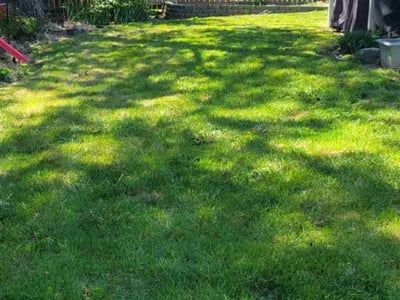 Lawn care service in Spokane, 99208