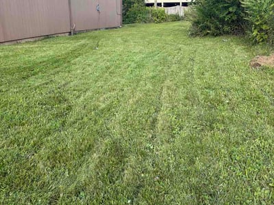 Lawn care service in Buffalo, 14204