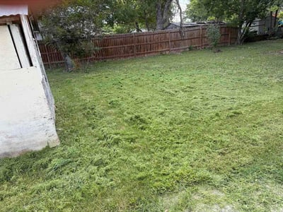 Lawn care service in San Antonio, 78221
