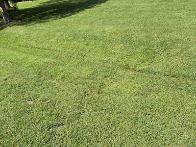 Lawn care service in Valdosta, 31605