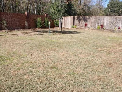 Lawn care service in Houston, 77082