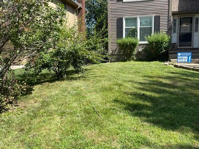 Lawn care service in Olathe, 66062