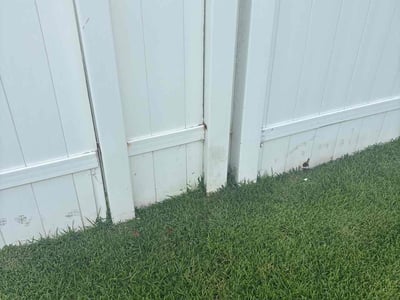 Lawn care service in Bluffton, 29910