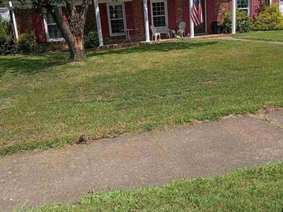 Lawn care service in Memphis, 38120