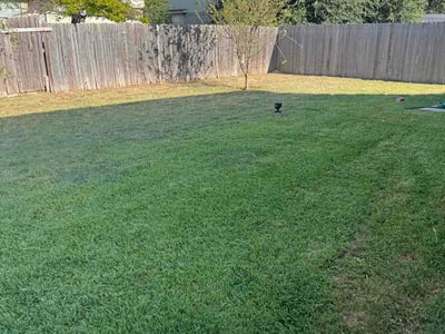 Lawn care service in Leander, 78641