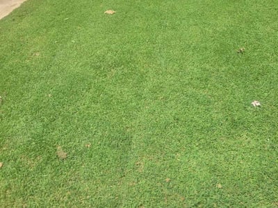 Lawn care service in Edmond, 73013