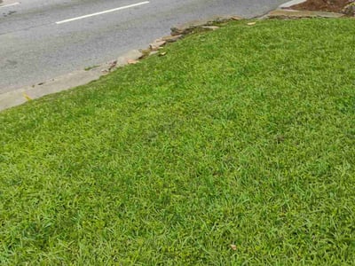 Lawn care service in Atlanta, 30310
