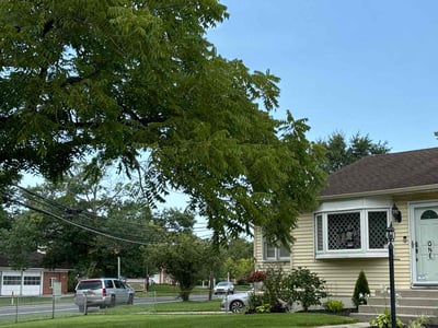 Lawn care service in Evesham, 08053