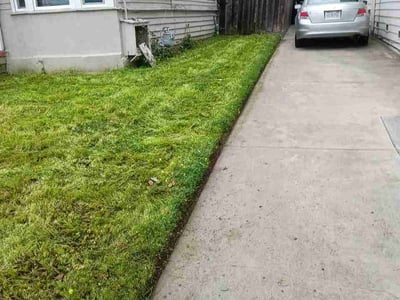 Lawn care service in Oakland, 94619