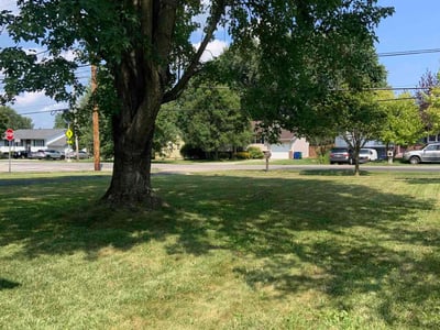 Lawn care service in Delaware, 43015