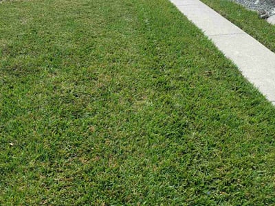 Lawn care service in The Villages, 32159