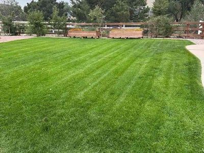 Lawn care service in Falcon, 80831