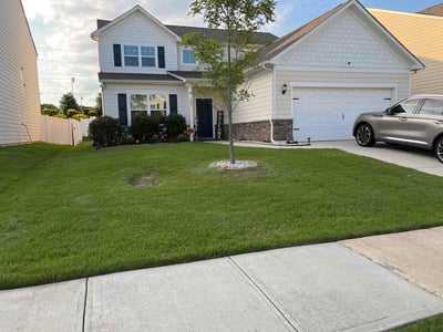 Lawn care service in McDonough, 30253