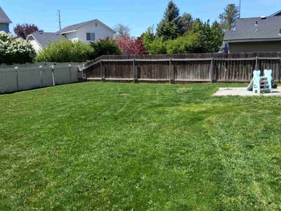 Lawn care service in Boise, 83709
