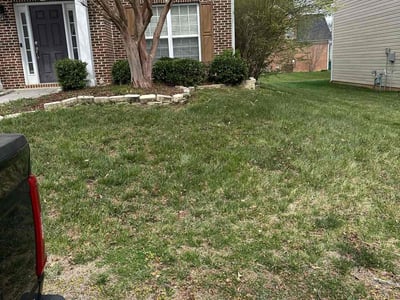 Lawn care service in Clemmons, 27012