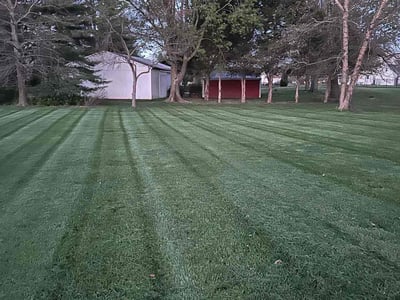 Lawn care service in Belleville, 62226