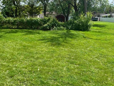 Lawn care service in Southgate, 48195