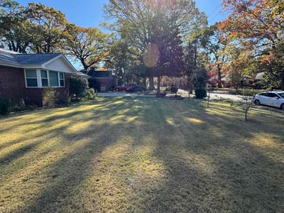 Lawn care service in Norfolk, 23518