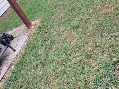 Lawn care service in McAllen, 78504