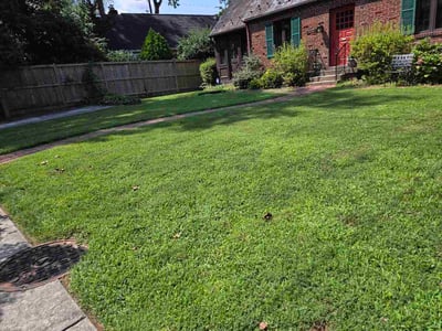 Lawn care service in Bethesda, 20817
