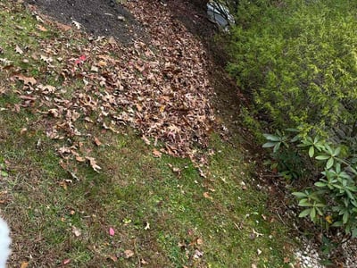 Lawn care service in Harrisburg, 17112