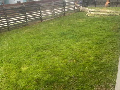 Lawn care service in Austin, 78724