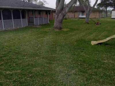 Lawn care service in Needville, 77461