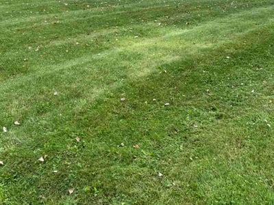 Lawn care service in Lansing, 48917