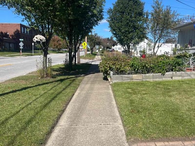 Lawn care service in Cuyahoga Falls, 44221
