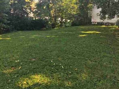 Lawn care service in Independence, 64052