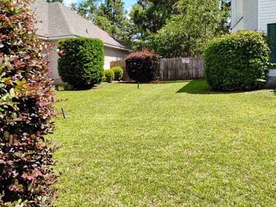 Lawn care service in Lexington, 29073