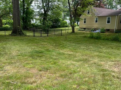 Lawn care service in , 