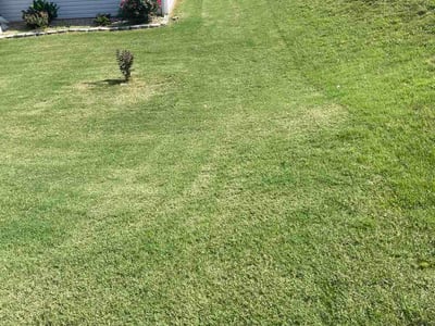 Lawn care service in Greenville, 29605