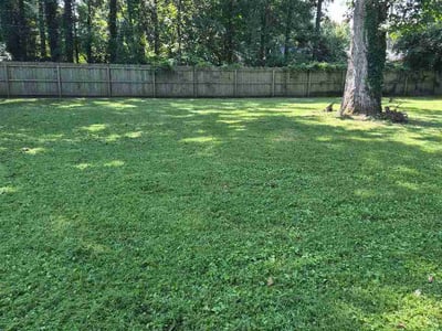 Lawn care service in Chester, 23831