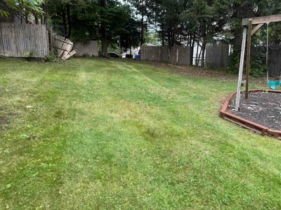 Lawn care service in Meriden, 06450