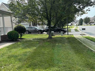 Lawn care service in Fredericksburg, 22408