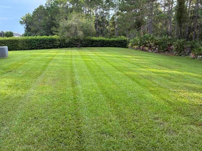 Lawn care service in Daytona Beach, 32124