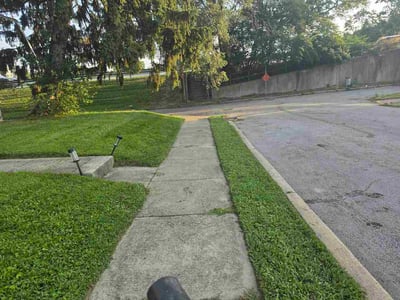 Lawn care service in Cincinnati, 45208