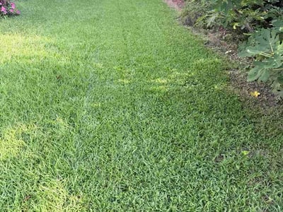 Lawn care service in Augusta, 30907