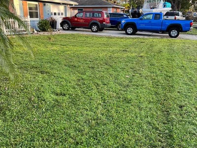 Lawn care service in Sarasota, 34235