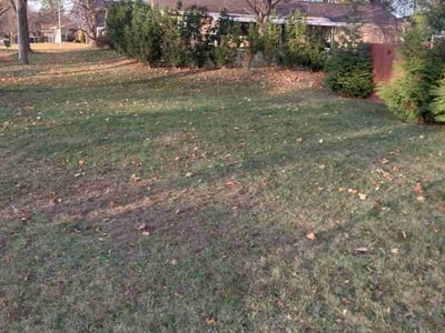 Lawn care service in Milwaukee, 53224