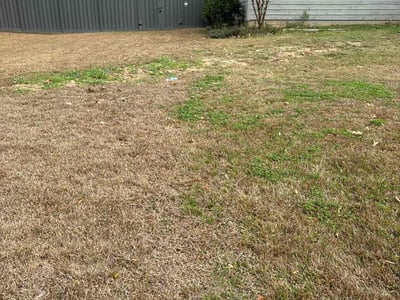 Lawn care service in Brandon, 39047