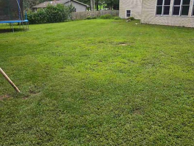 Lawn care service in Marshall, 49068