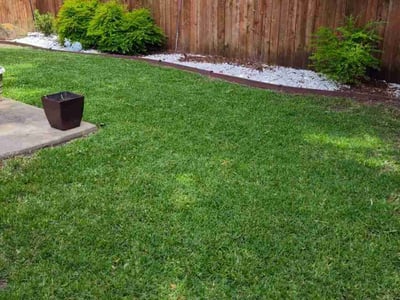 Lawn care service in Frisco, 75035