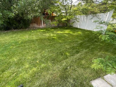 Lawn care service in Lehi, 84043